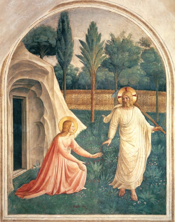 ANGELICO Noli